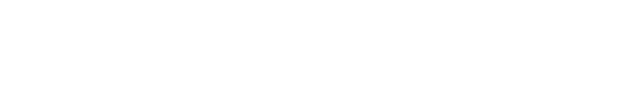DRONGIS